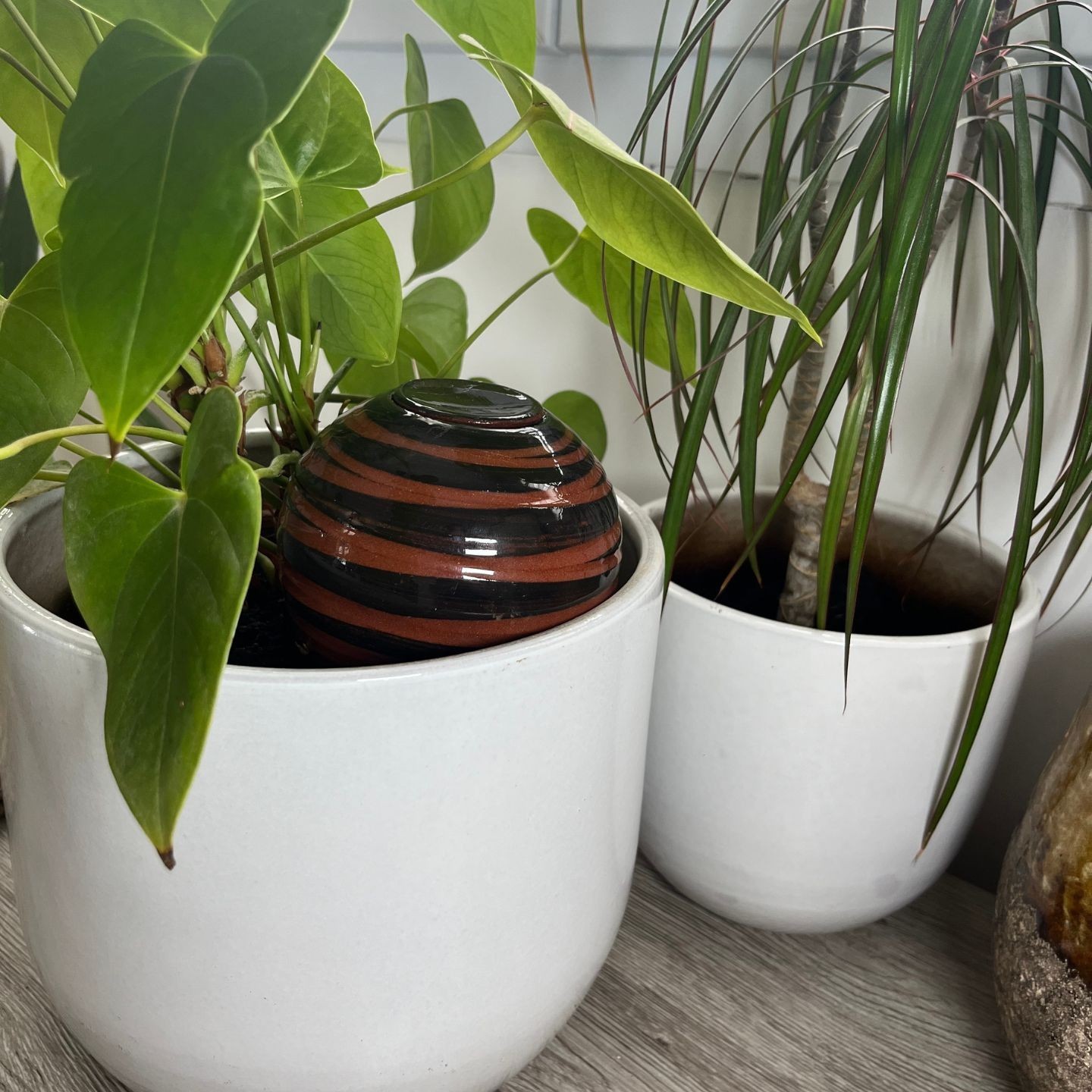 Ollas à planter Spiral - Ollas Lutton