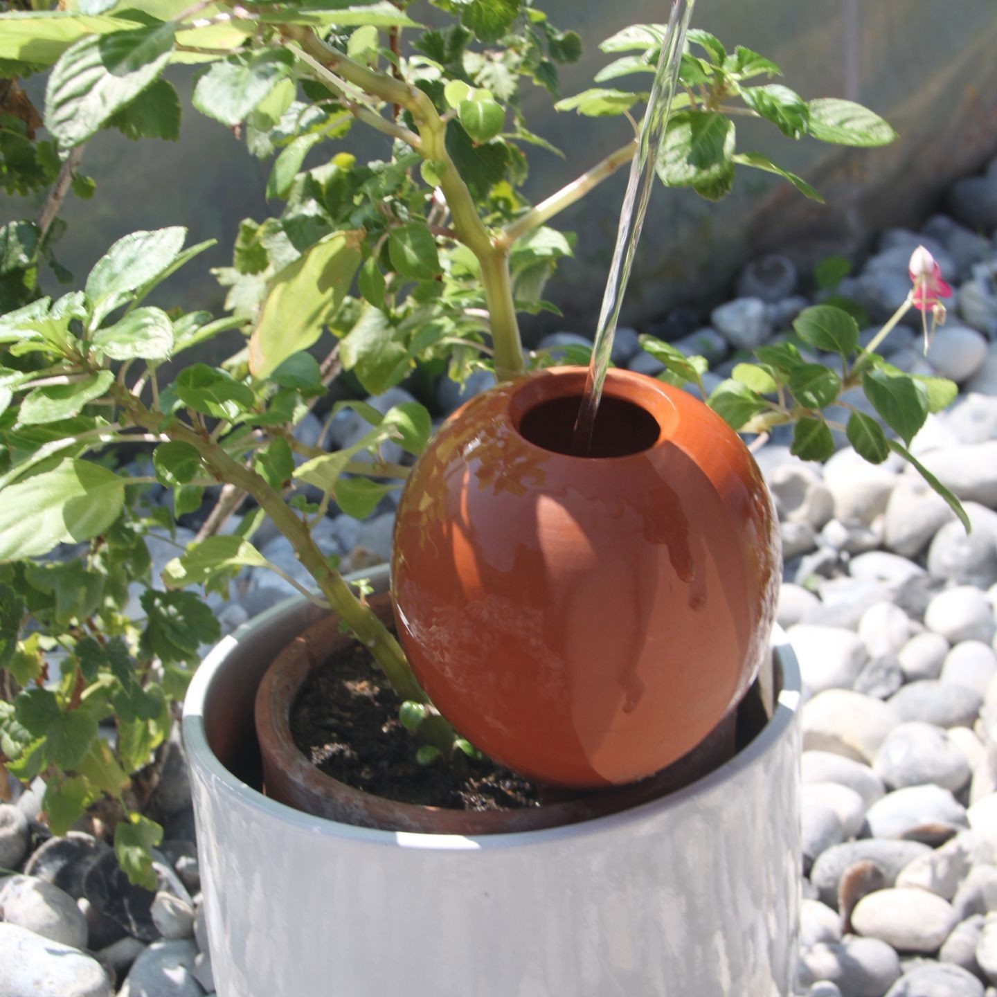 Ollas à planter large - Ollas Lutton