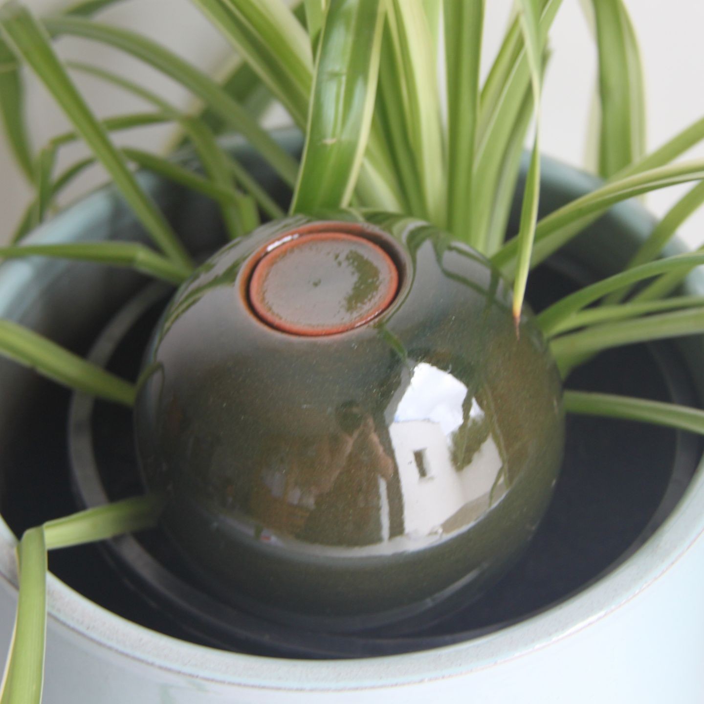 Ollas à Planter Métallique Acheter - Ollas Lutton - Diffuseur d'eau autonome