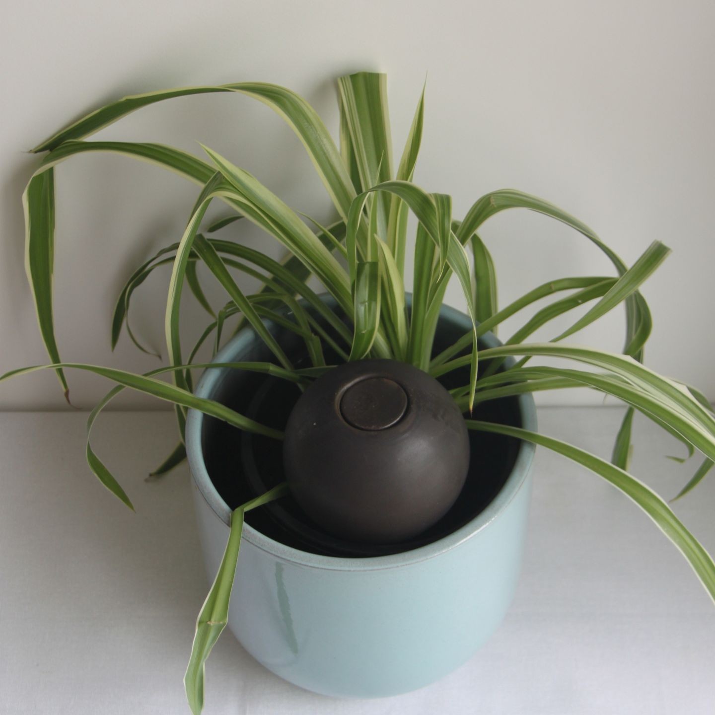 Ollas à Planter Métalliques - Couleur argentée, bronze, cendrée