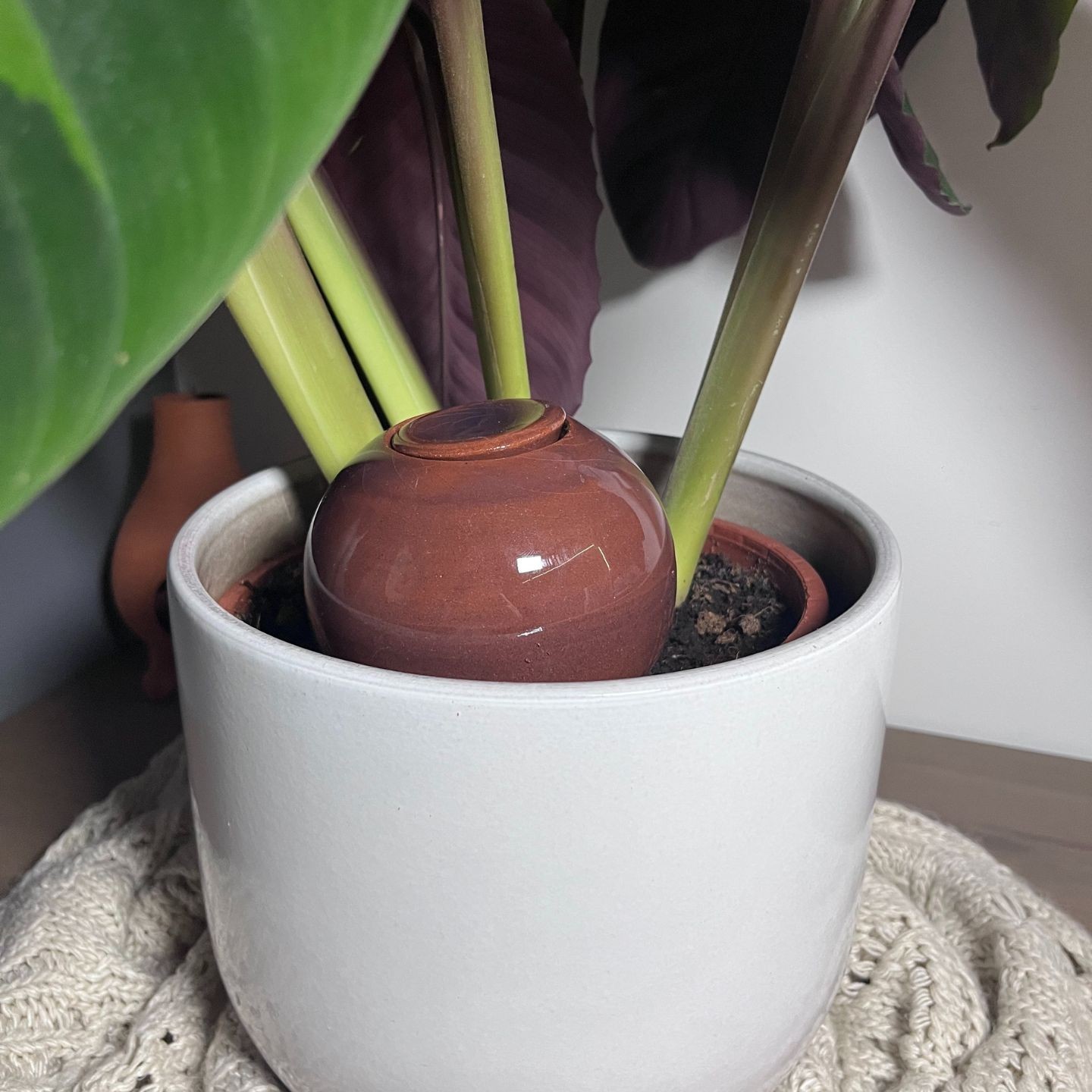 Ollas à Planter Nuancées – Arrosage Écologique et Design Édition Limitée