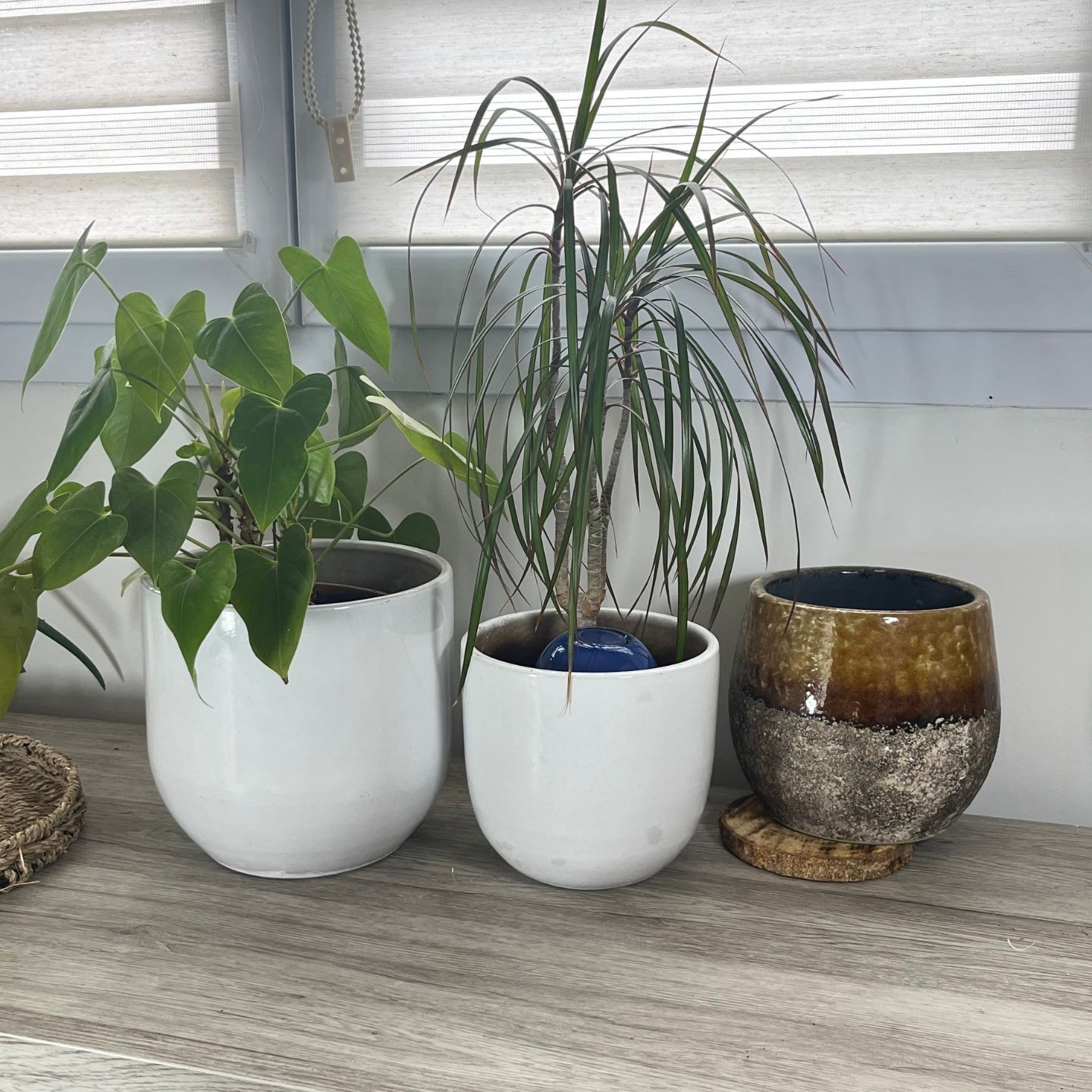 %%title%% Acheter %%sep%% %%sitename%% %%sep%% Diffuseur d'eau autonome