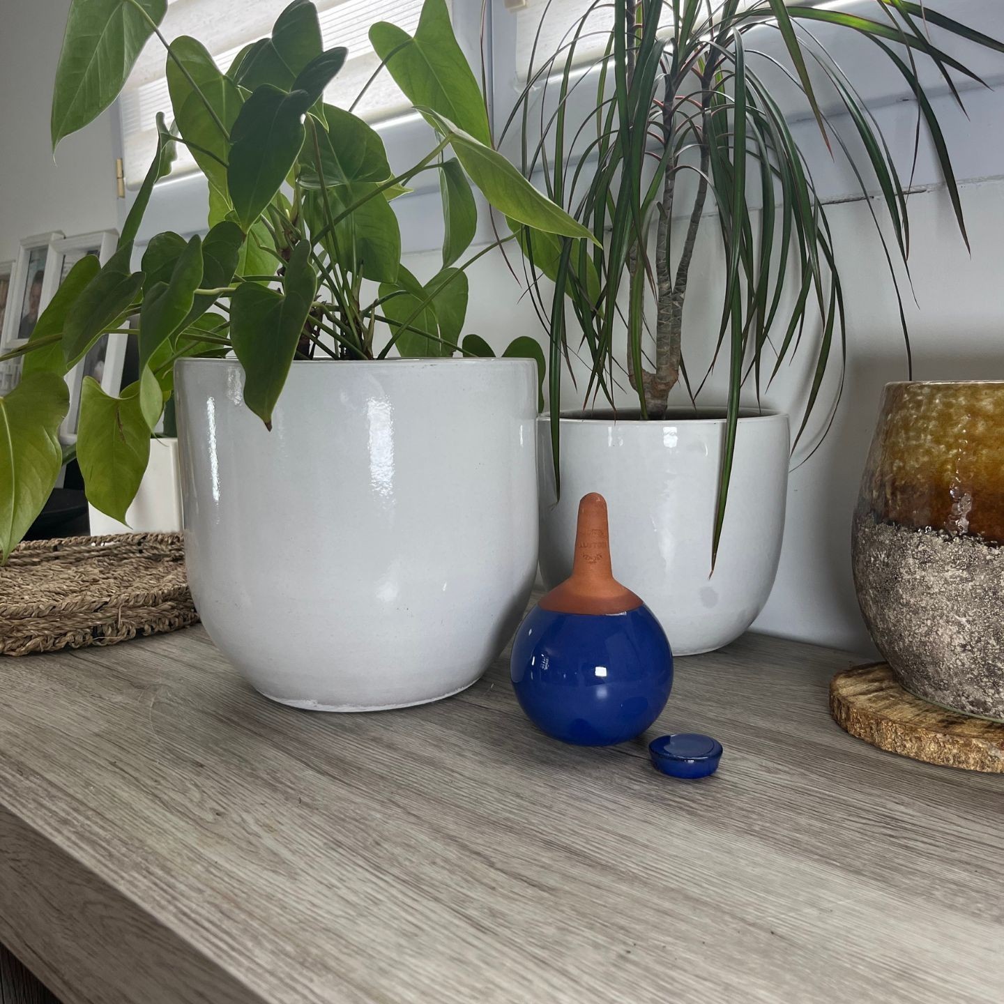 %%title%% Acheter %%sep%% %%sitename%% %%sep%% Diffuseur d'eau autonome