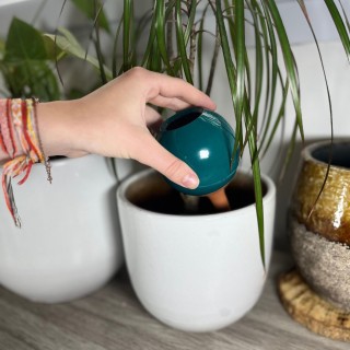 Mini Ollas à Planter