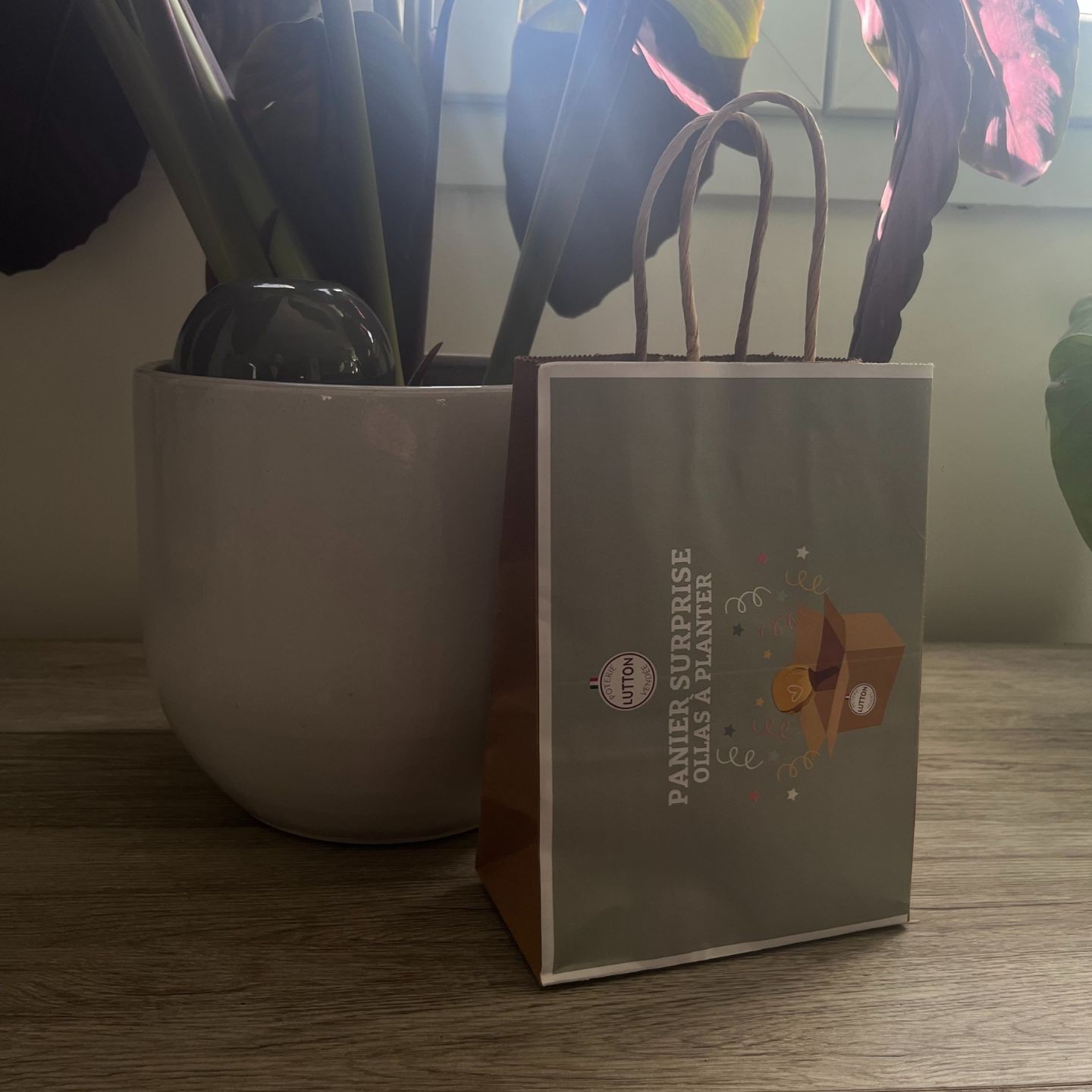 Panier Surprise à Ollas Planter - Idéal pour vous offrir votre propre ollas à plante de 40 cl , à un prix imbatable de 14 euros