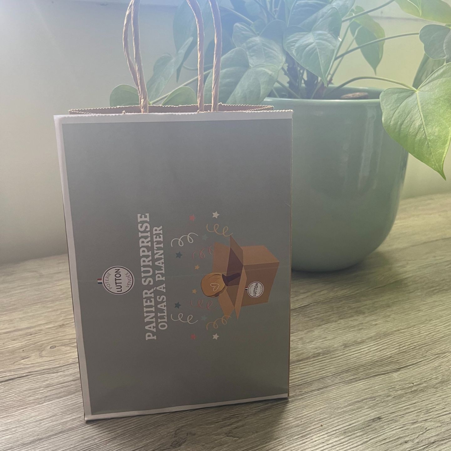 Panier Surprise à Ollas Planter - Idéal pour vous offrir votre propre ollas à plante de 40 cl , à un prix imbatable de 14 euros