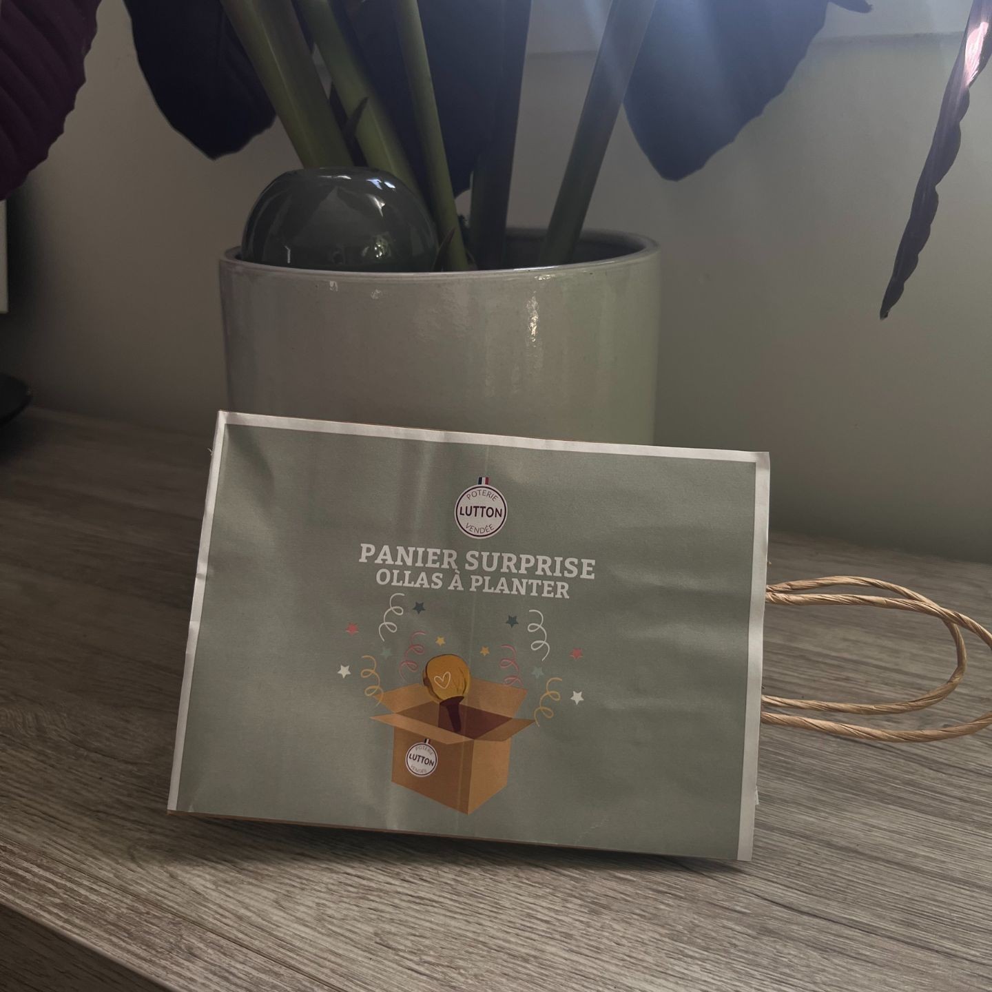 Panier Surprise à Ollas Planter - Idéal pour vous offrir votre propre ollas à plante de 40 cl , à un prix imbatable de 14 euros