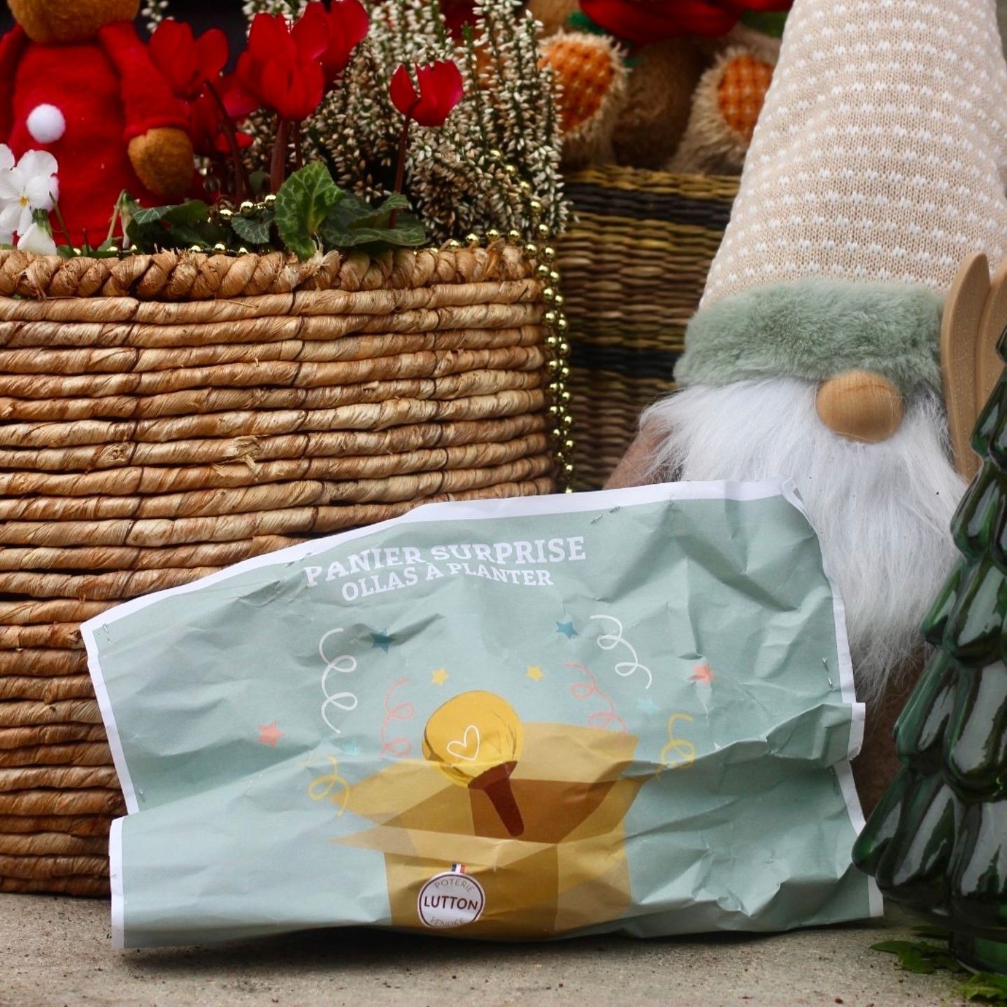 Panier Surprise à Ollas Planter - Idéal pour vous offrir votre propre ollas à plante de 40 cl , à un prix imbatable de 14 euros