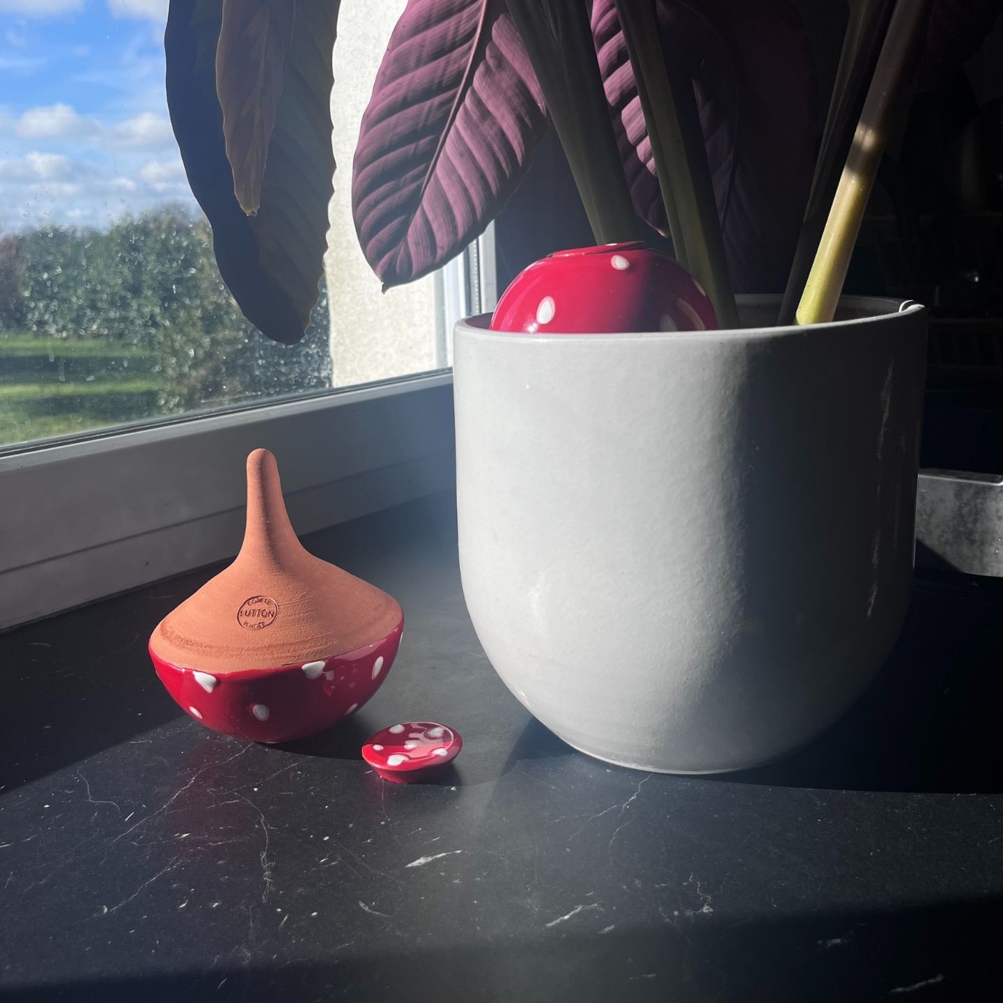 Ollas Champignon - Entre déco féerique et arrosage intelligent