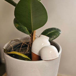 MINI OLLAS A PLANTER SABEUR