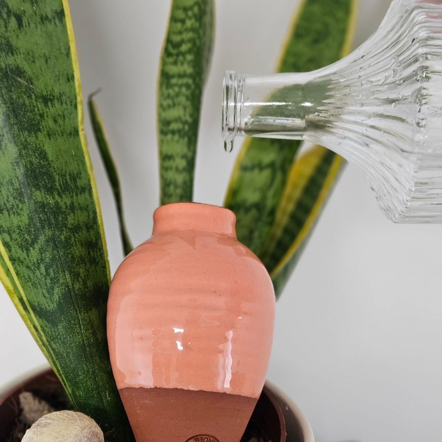 MINI OLLAS A PLANTER SABEUR