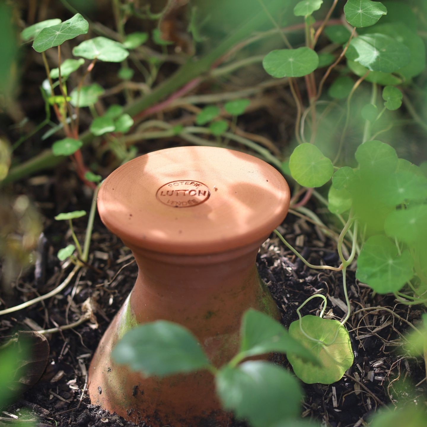 Ollas Potager à Enterrer