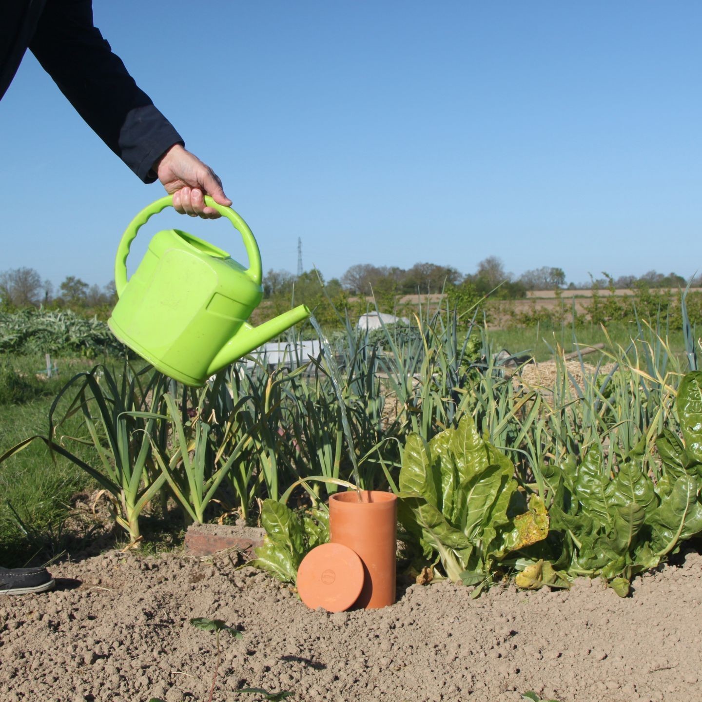 Ollas Tube à enterrer Ollas Lutton - Un arrosage simple et efficace