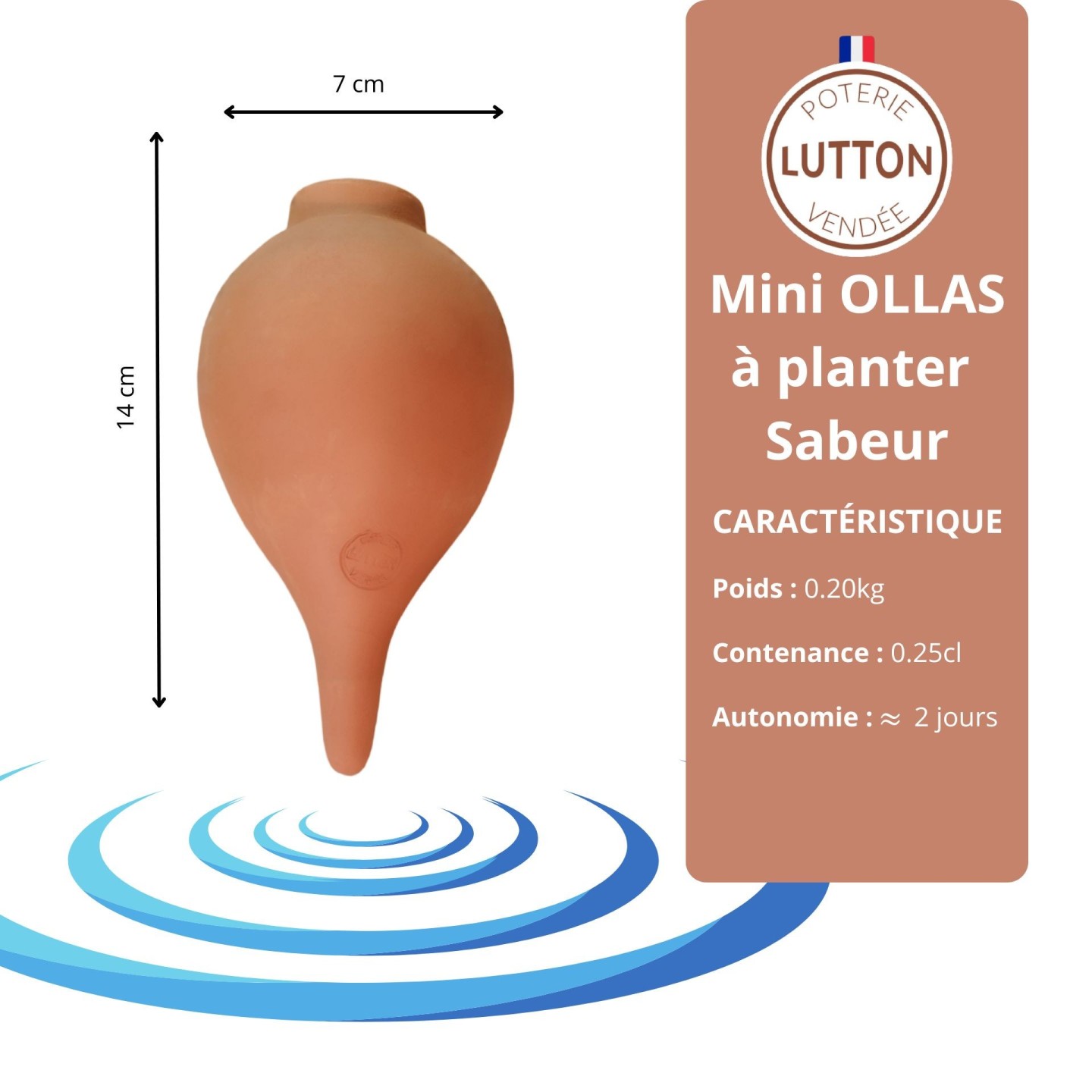Mini Ollas Sabeur à planter : une solution d’arrosage douce et naturelle pour vos petites plantes  Découvrez les Mini Ollas Sabe