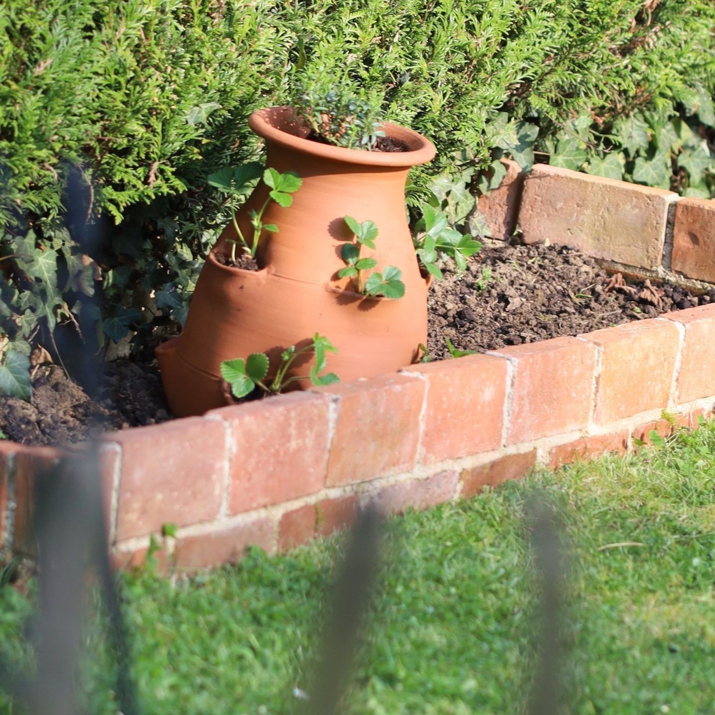 Tour à Fraisier en Poterie Fait Main -  Pour votre Jardin