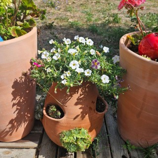 Tour à Fraisier en Poterie Fait Main -  Pour votre Jardin