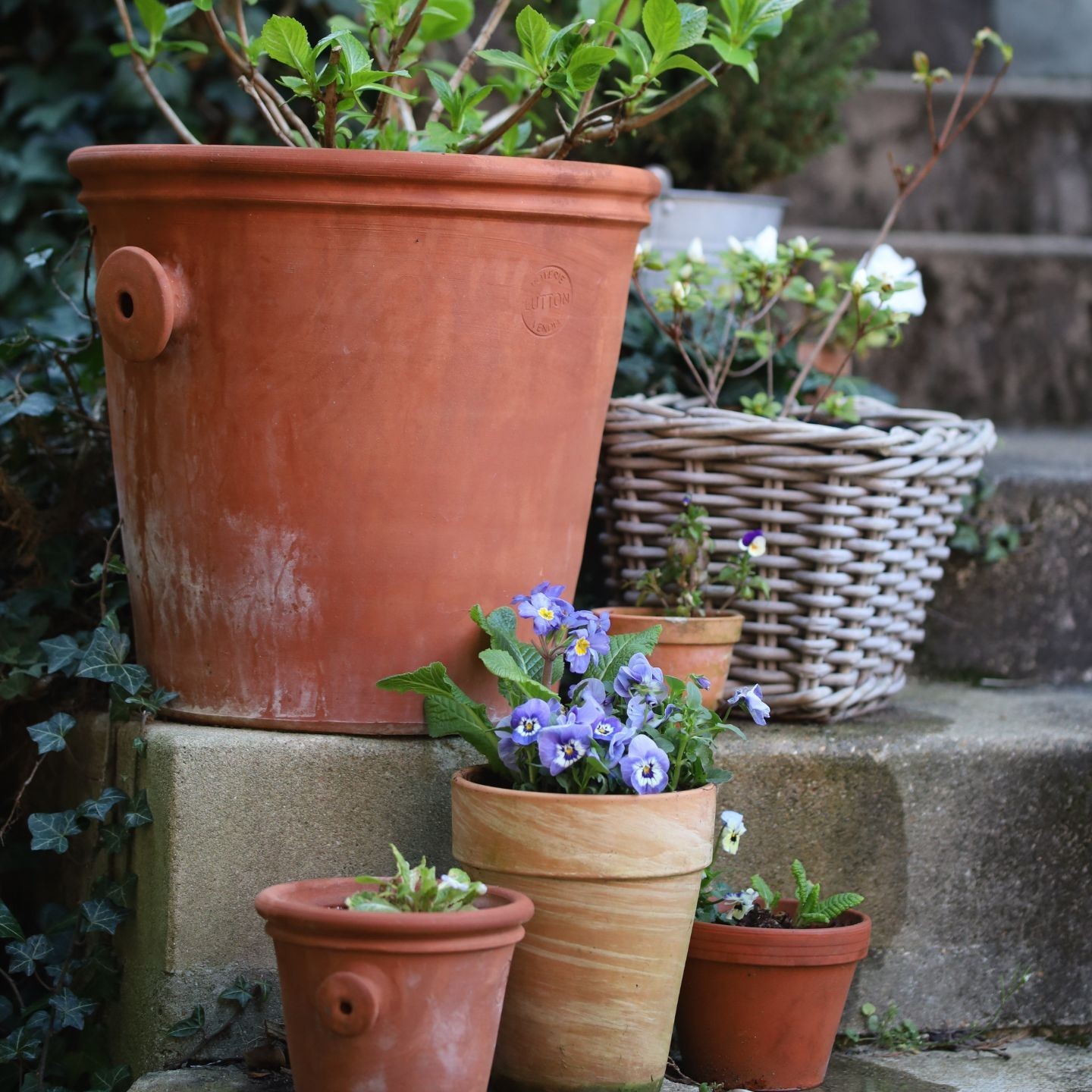 Pot à Oreille en Terre Cuite – Fabriquée en France