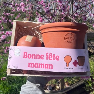 Coffret fêtes des mères