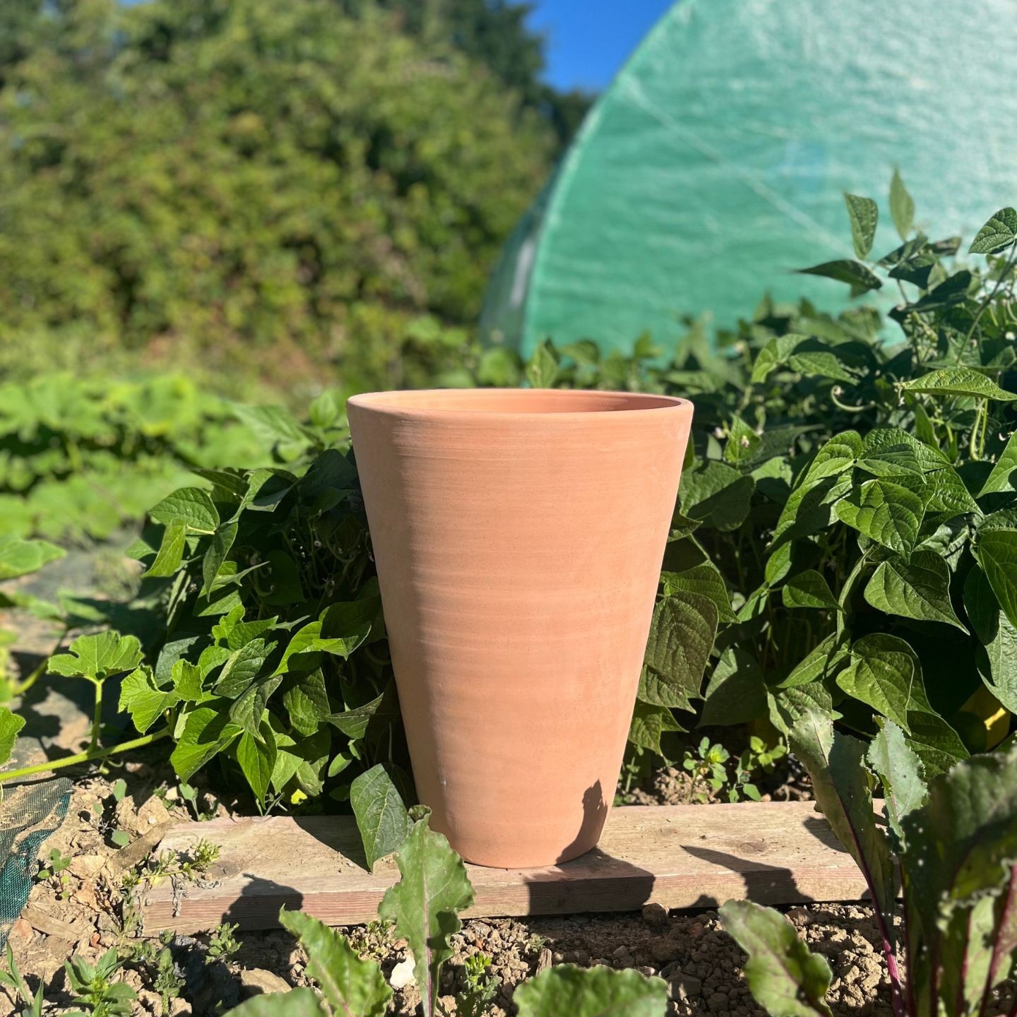 Pot Cuvier en Terre Cuite | Collection Méditerranée | Poterie Lutton