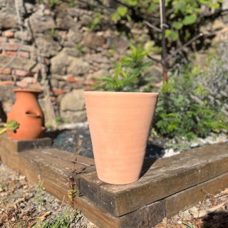 Collection Méditerranée - pot Cuvier