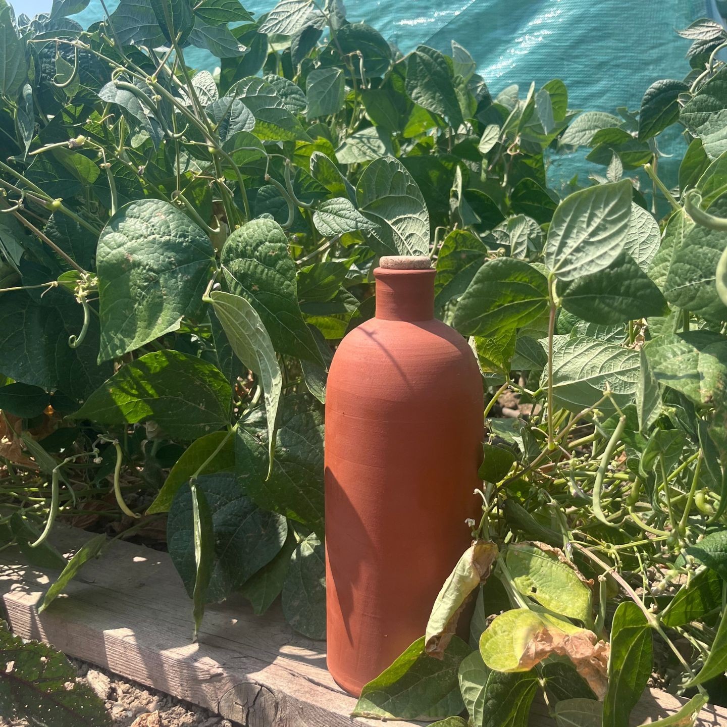 Bouteille d'huile