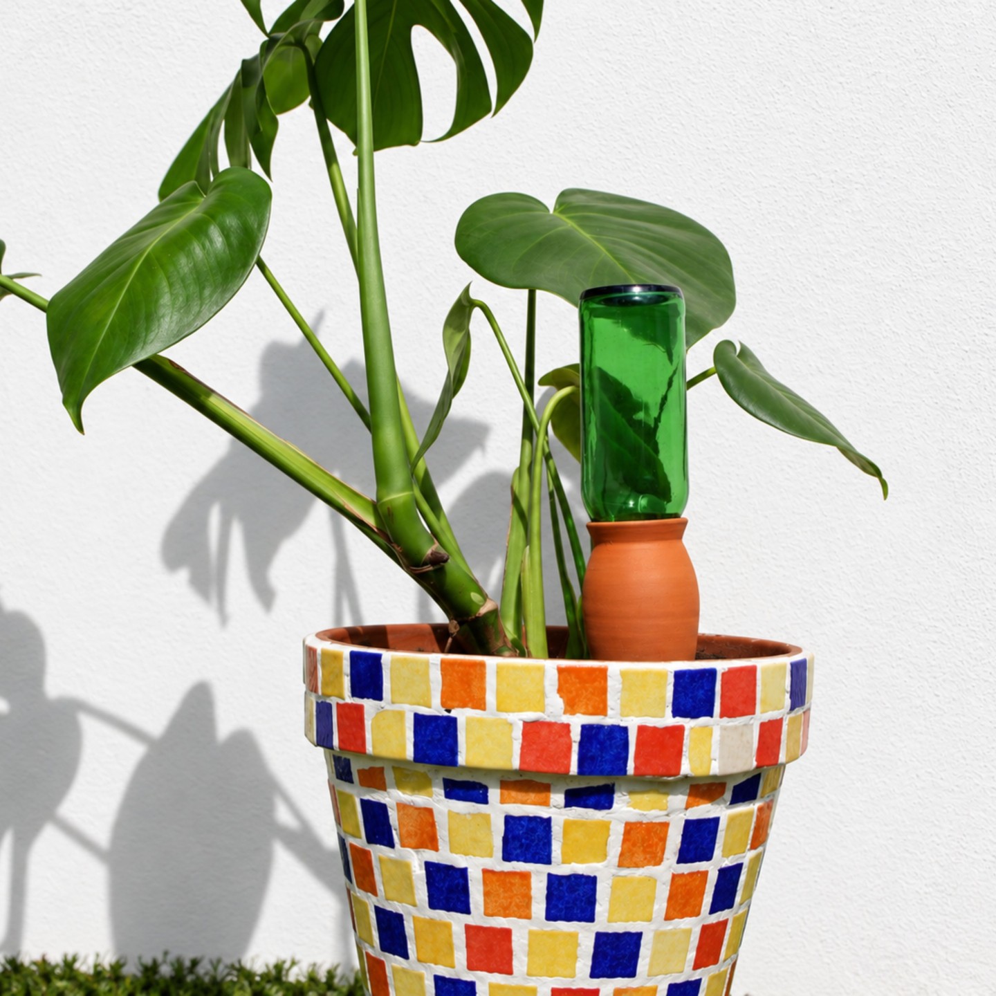 Ollas Cône à planter – Poterie artisanale française | Diffuseur d’eau écologique – Ollas Lutton