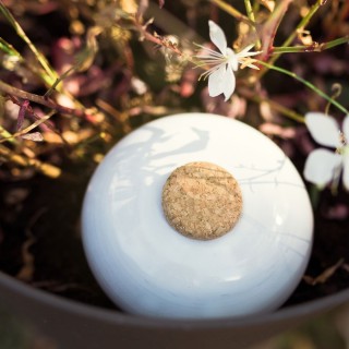 Ollas Galet: The natural irrigation accessory for your potted plants