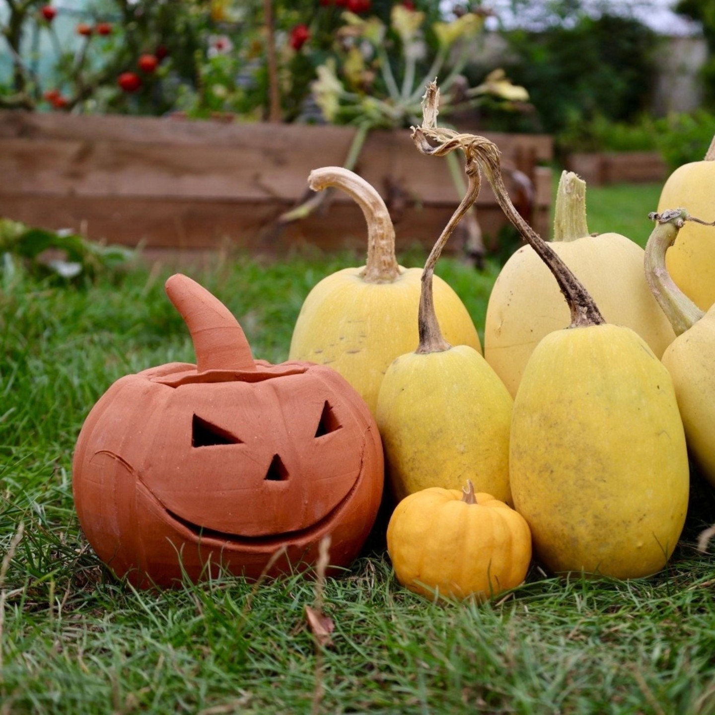 Handcrafted Pottery Pumpkins – Limited Edition for Halloween