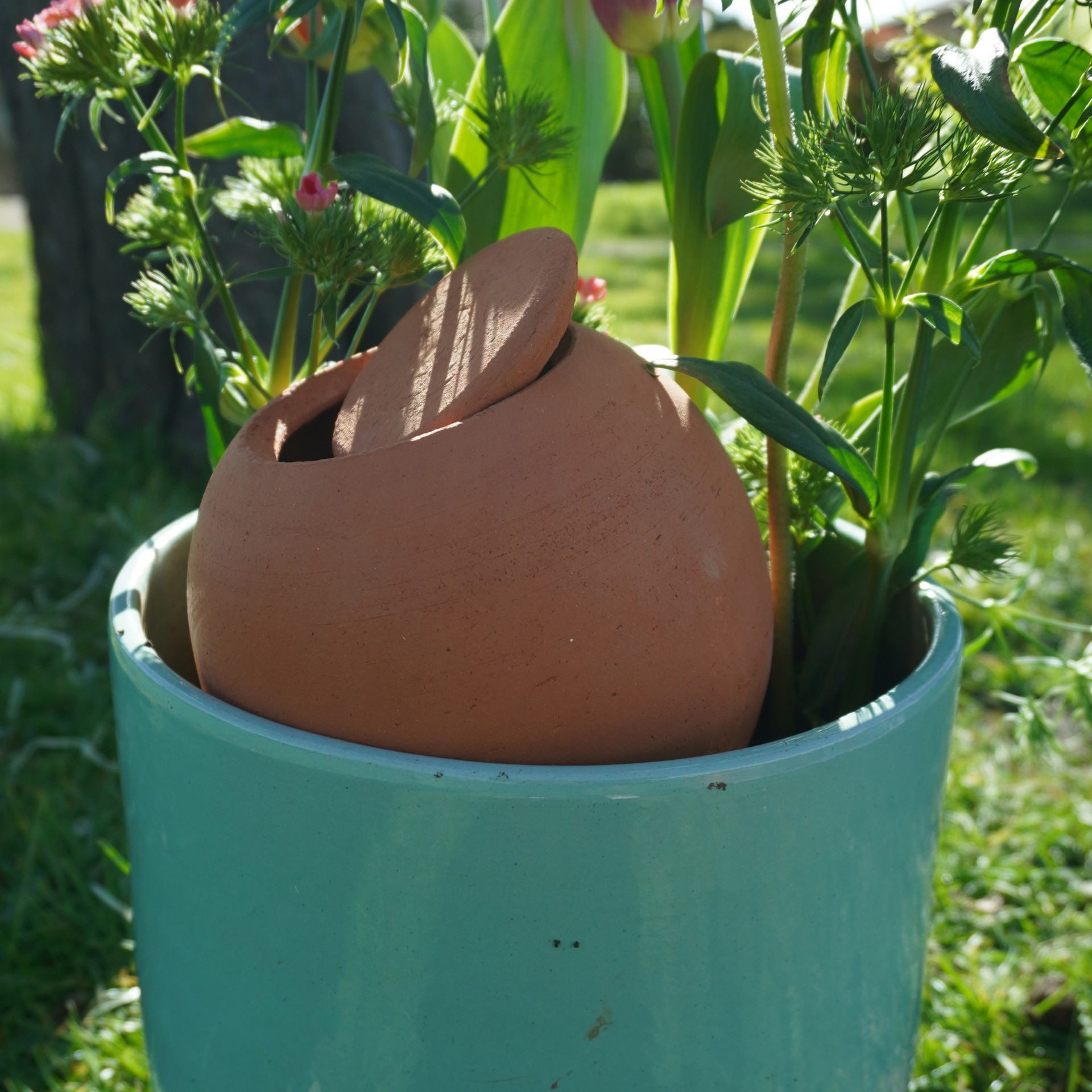 Olla (pot D'irrigation) En Terre Cuite Lutton 1L - Arrosage Autonome écologique Pour Plantes - Autonomie 3-5 Jours, Fabrication Française