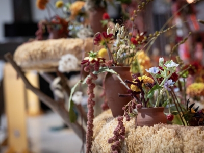 Les Cônes à Planter de la Poterie Lutton pour le premier prix de Max Hurtaud