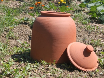 Sublimez Vos Récoltes avec les Cloches à Rhubarbe