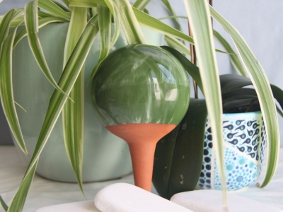 Le guide des plantes et Ollas pour la rentrée : arrosez malin toute l’année