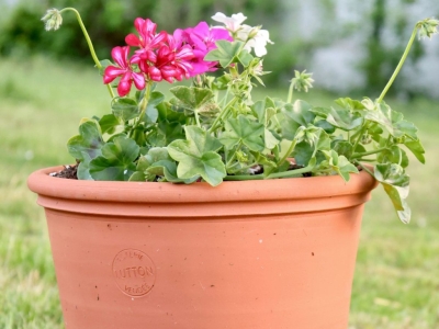 Poterie Lutton au Potager du Roi à Versailles
