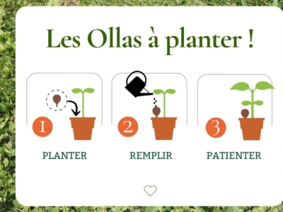 Comment utiliser les Ollas à planter pour l'irrigation de vos plantes en pot ?